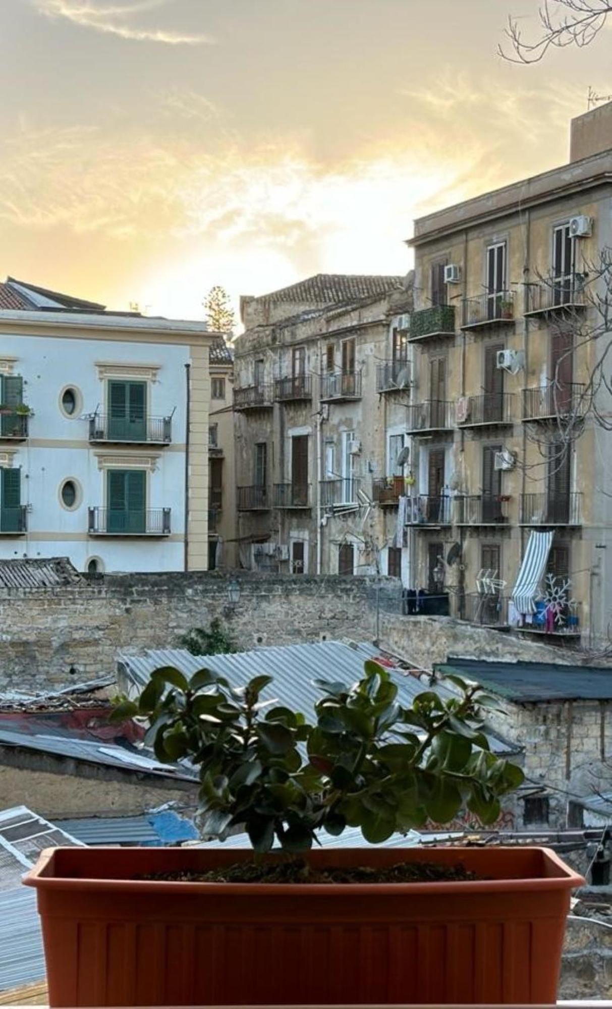 Shallah Apartment Nel Cuore Del Centro Storico Di パレルモ エクステリア 写真